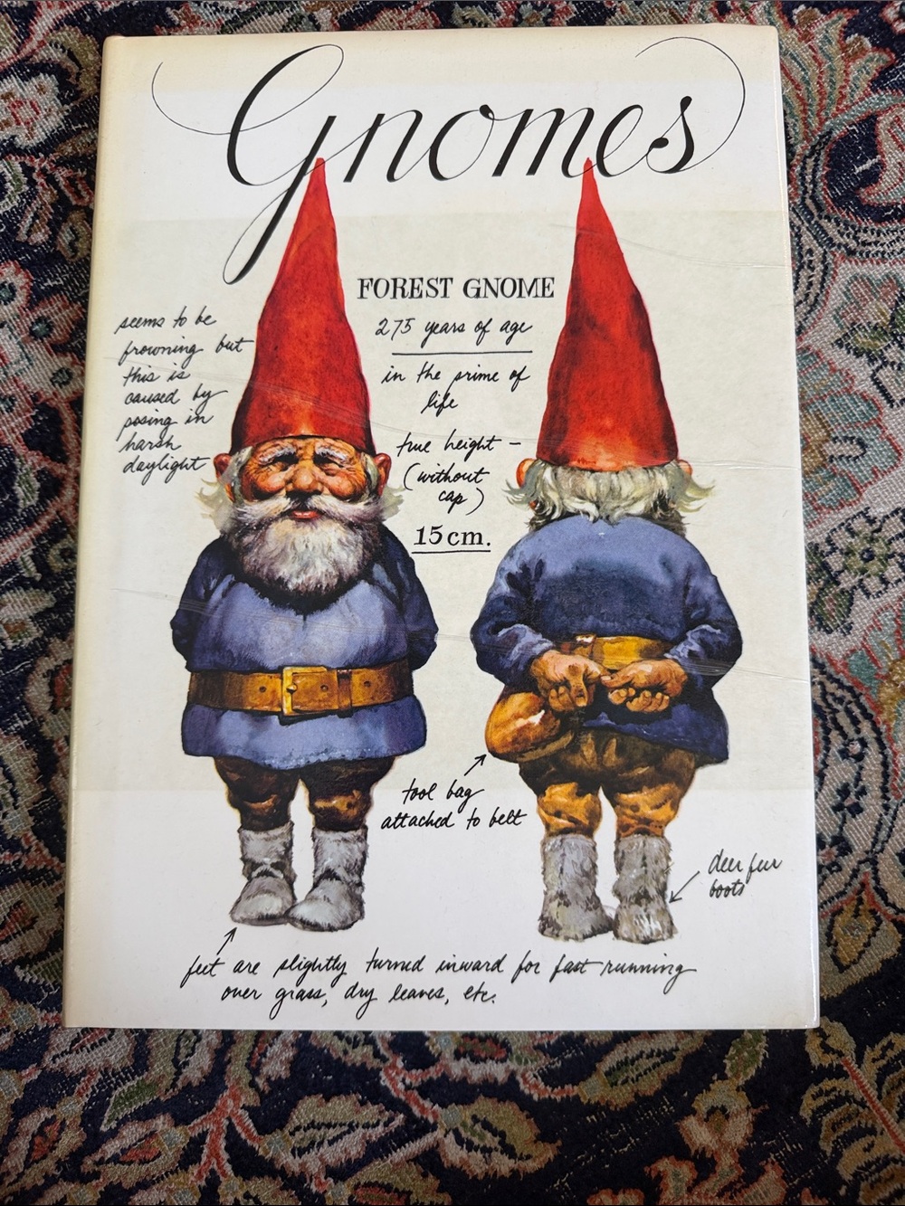 Vintage Gnomes coffee table book -gorgeous illustrations